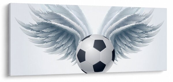 Obraz - Balón s krídlami (120x50 cm)