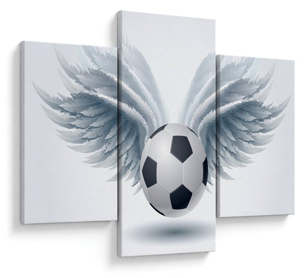 Obraz - Balón s krídlami (90x60 cm)