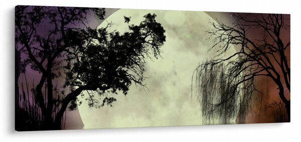 Obraz - Spln nad hladinou (120x50 cm)