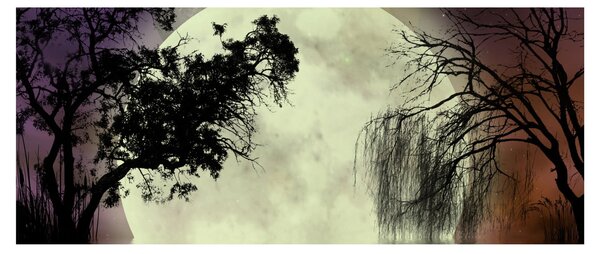 Obraz - Spln nad hladinou (120x50 cm)