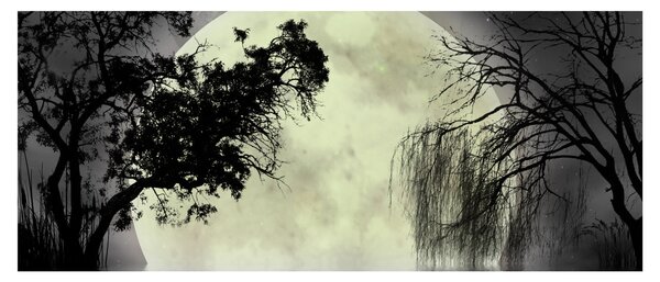 Obraz - Spln nad hladinou, čiernobiely variant (120x50 cm)