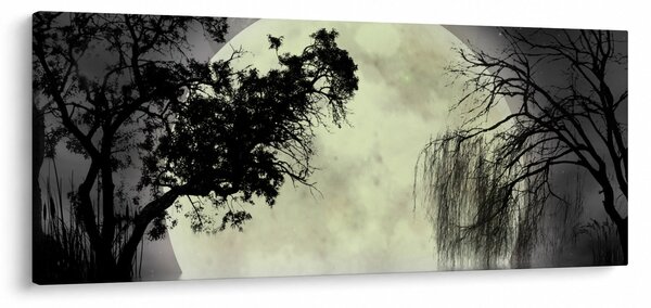 Obraz - Spln nad hladinou, čiernobiely variant (120x50 cm)