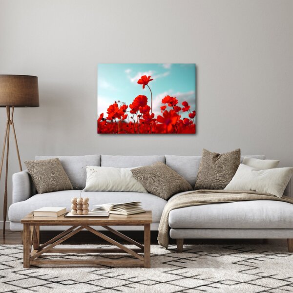 Obraz poľa s jasne červenými kvetmi (70x50 cm)