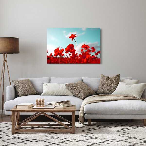 Obraz poľa s jasne červenými kvetmi (90x60 cm)