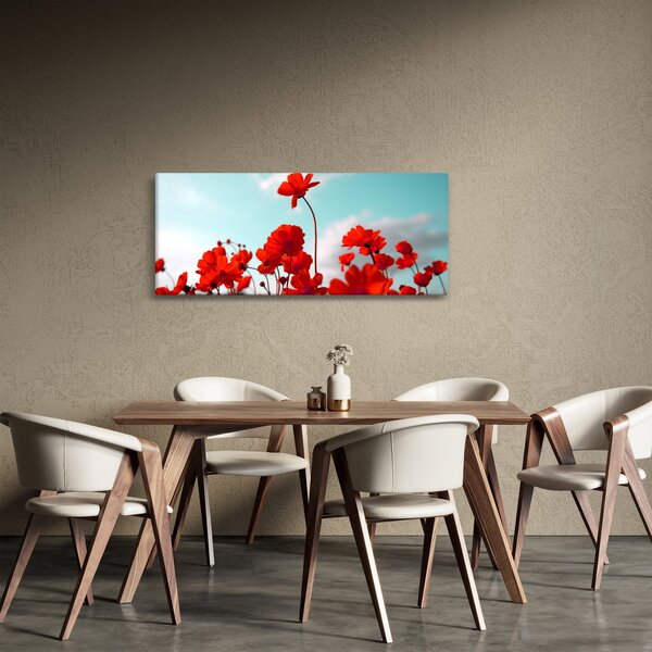 Obraz poľa s jasne červenými kvetmi (120x50 cm)