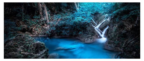 Obraz - Magická noc v tropickom lese (120x50 cm)