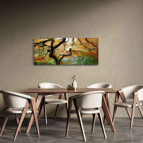 Obraz žltého japonského javora, Portland, Oregon (120x50 cm)