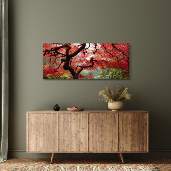 Obraz červeného japonského javora, Portland, Oregon (120x50 cm)