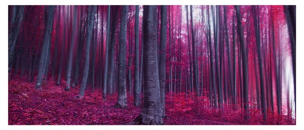 Obraz ružového lesa (120x50 cm)
