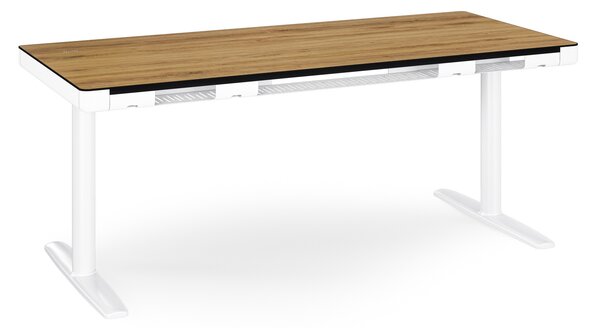 Elektrický písací stôl sit-stand so zásuvkou a bezdrôtovou nabíjačkou Qi biely/zlatý dub, 1600 mm: ELLIS