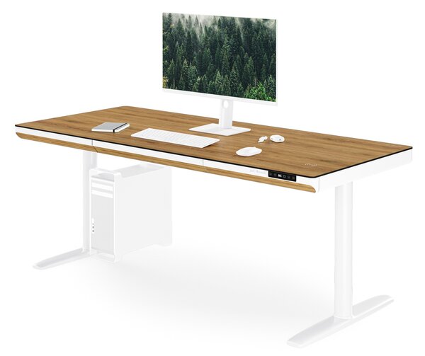 Elektrický písací stôl sit-stand so zásuvkou a bezdrôtovou nabíjačkou Qi biely/zlatý dub, 1600 mm: ELLIS