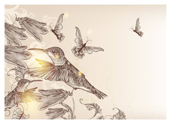 Obraz - Kolibríky (70x50 cm)
