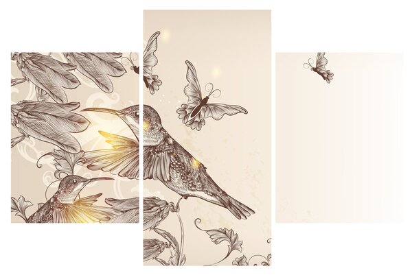 Obraz - Kolibríky (90x60 cm)