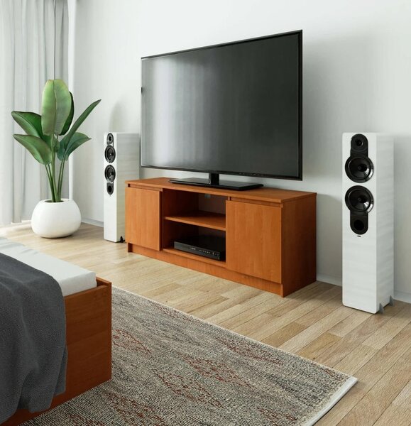 TV stolík s dvierkami YMARIN - jelša