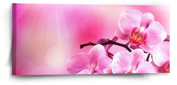Sablio Obraz Kvety orchidey - 110x50 cm