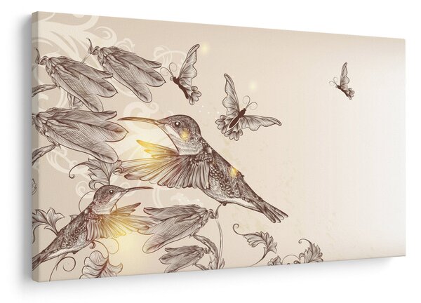 Obraz - Kolibríky (90x60 cm)
