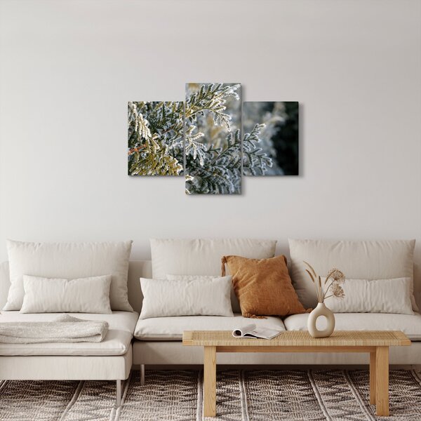 Obraz - Detail vetvy (90x60 cm)