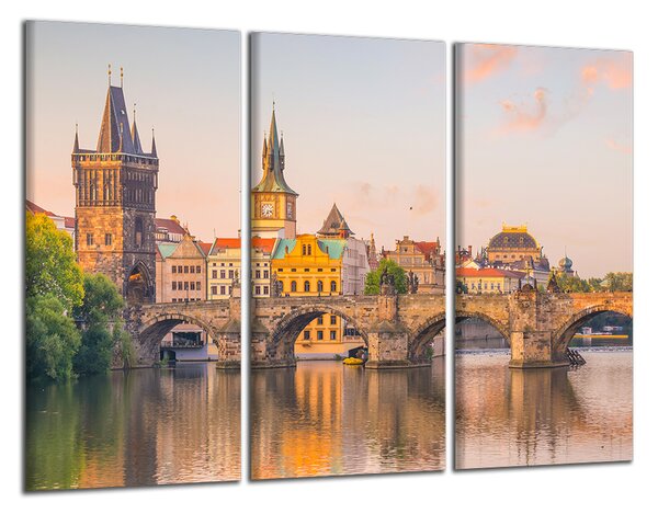 Obraz na plátne Karlov most a Vltava