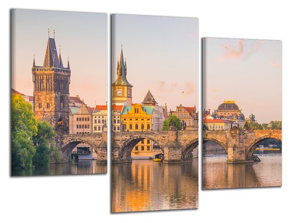 Obraz na plátne Karlov most a Vltava