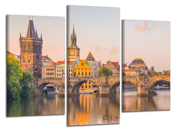 Obraz na plátne Karlov most a Vltava