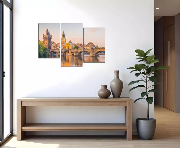 Obraz na plátne Karlov most a Vltava
