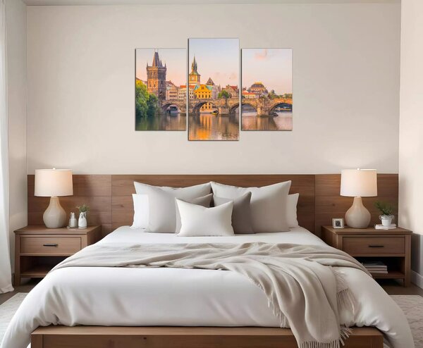 Obraz na plátne Karlov most a Vltava