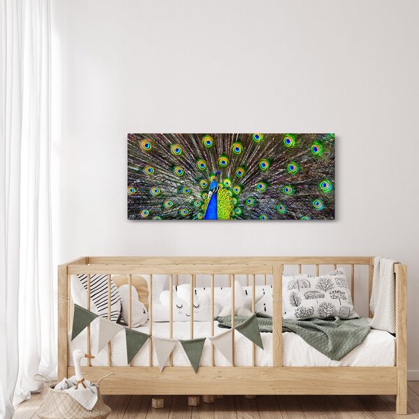 Obraz - Páv (120x50 cm)