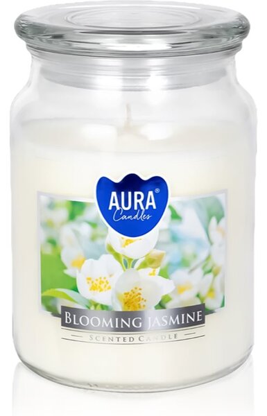 BISPOL Premium Line Jasmine vonná sviečka 500 g