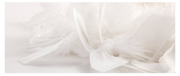 Obraz - Perie (120x50 cm)