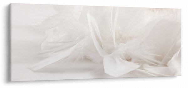 Obraz - Perie (120x50 cm)
