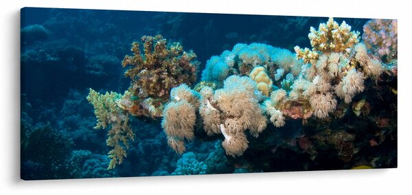 Obraz - V oceáne (120x50 cm)