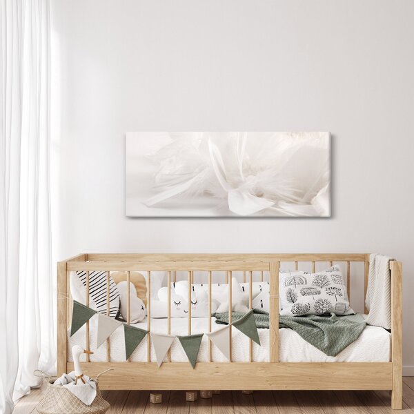 Obraz - Perie (120x50 cm)
