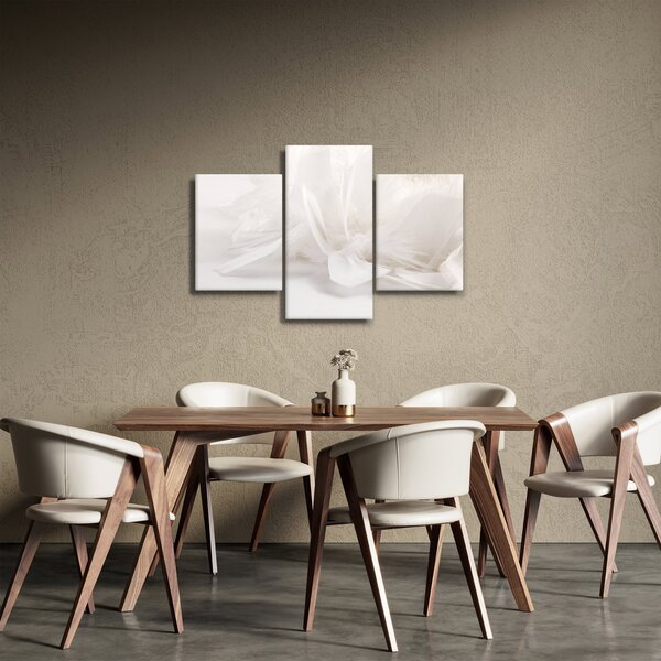 Obraz - Perie (90x60 cm)