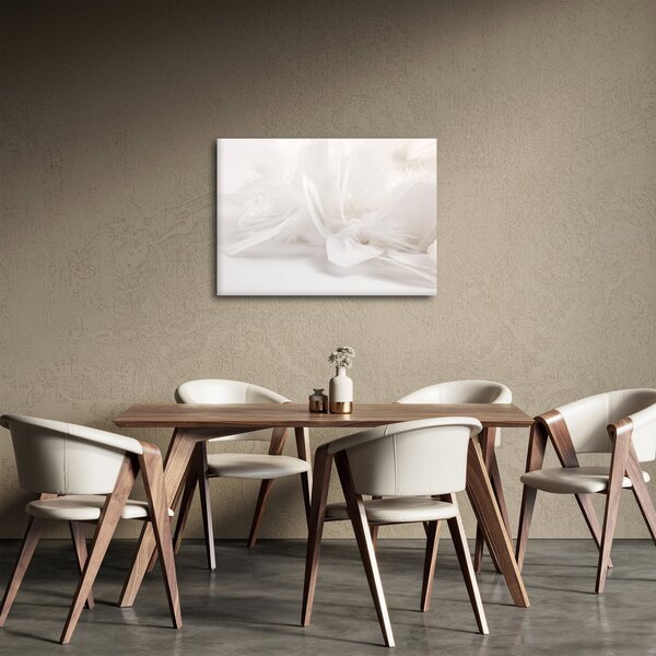 Obraz - Perie (70x50 cm)