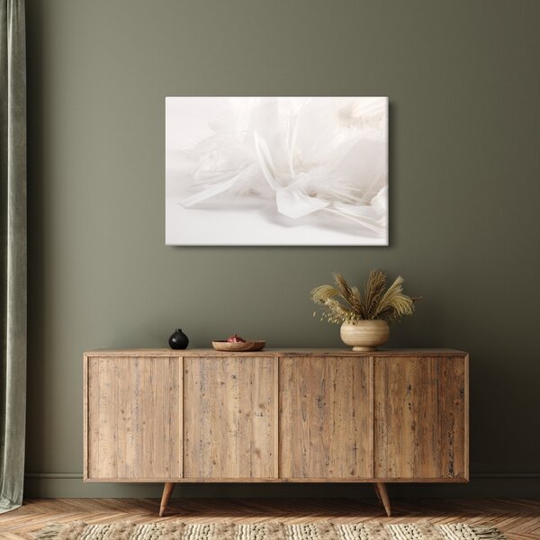 Obraz - Perie (90x60 cm)