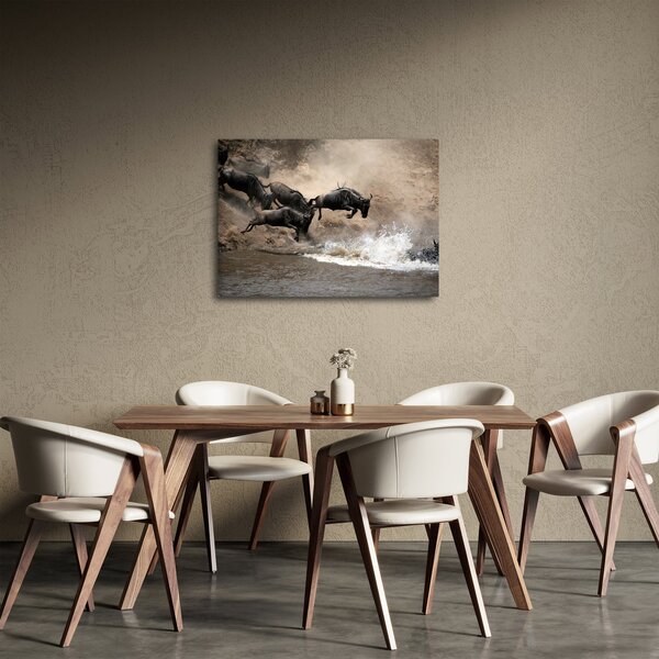 Obraz - Stádo pakoňov (70x50 cm)