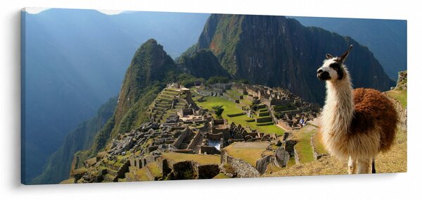 Obrázok - Lama a Machu Picchu (120x50 cm)