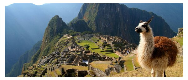 Obrázok - Lama a Machu Picchu (120x50 cm)