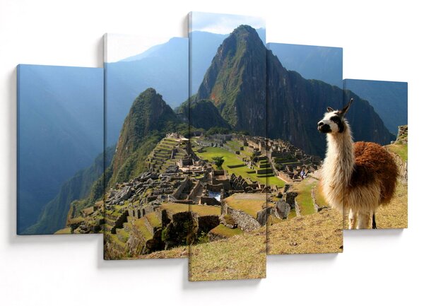 Obrázok - Lama a Machu Picchu (150x105 cm)