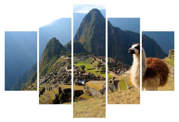 Obrázok - Lama a Machu Picchu (150x105 cm)