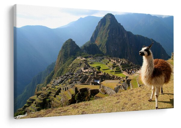 Obrázok - Lama a Machu Picchu (90x60 cm)