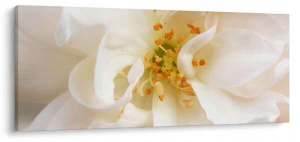 Obraz - Kvet (120x50 cm)