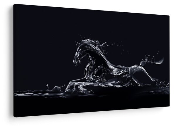 Obraz - Kôň a voda (90x60 cm)