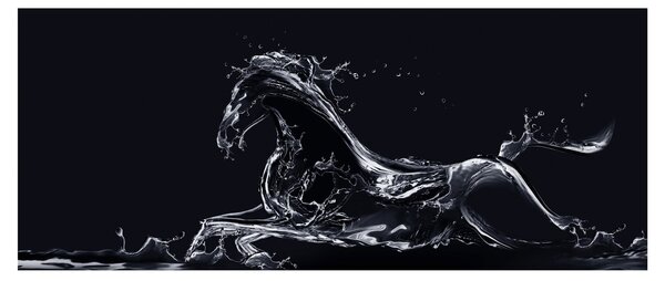 Obraz - Kôň a voda (120x50 cm)