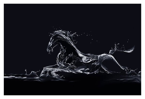Obraz - Kôň a voda (90x60 cm)