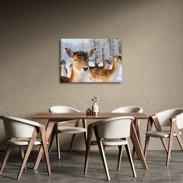 Obraz - Jeleňča (70x50 cm)