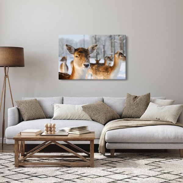 Obraz - Jeleňča (90x60 cm)