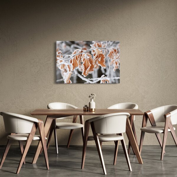 Obraz - Zamrznuté listy (90x60 cm)