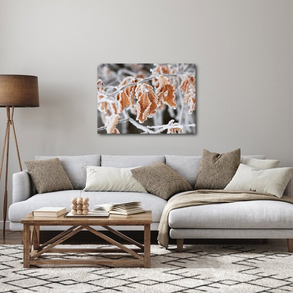 Obraz - Zamrznuté listy (70x50 cm)