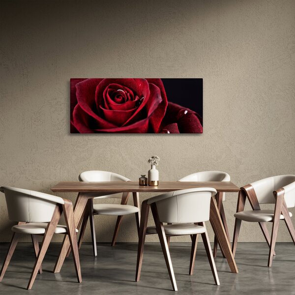 Obraz - Červená ruža (120x50 cm)